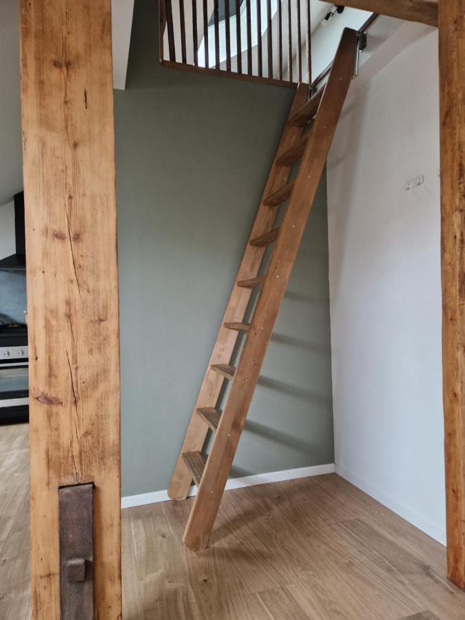 Les Appartements De Romain Et Julien Dijon Exterior foto