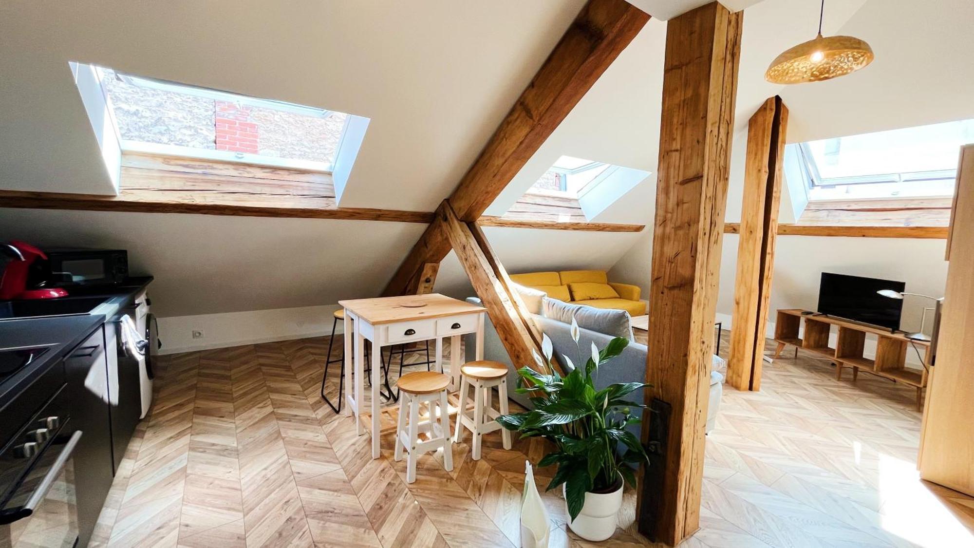 Les Appartements De Romain Et Julien Dijon Exterior foto