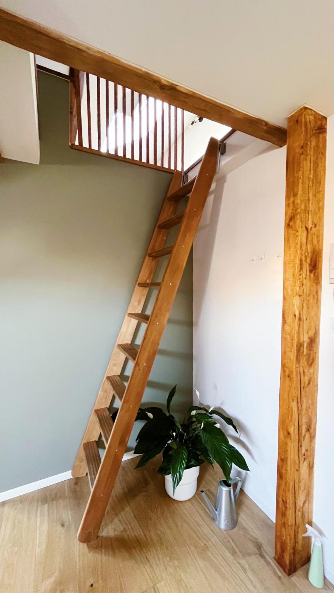 Les Appartements De Romain Et Julien Dijon Exterior foto